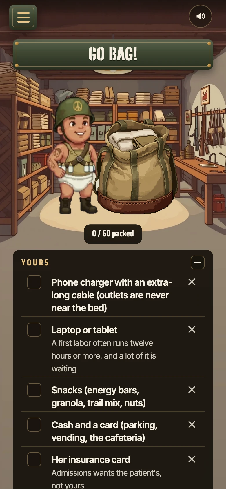 The go bag: the armory, with a fifty-item hospital bag checklist